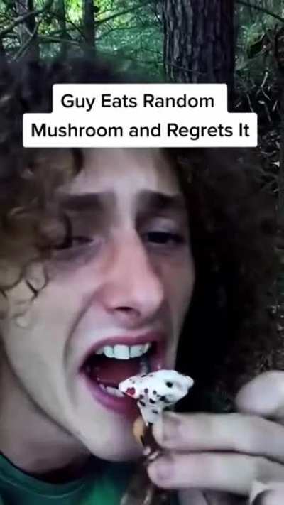 Mushroom