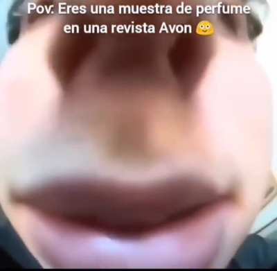 xd