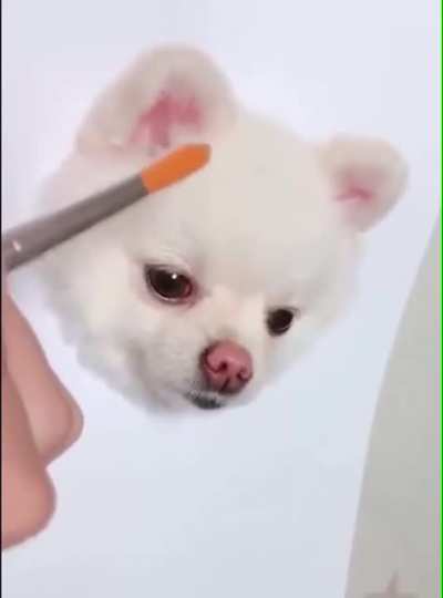 Nice drawing skills