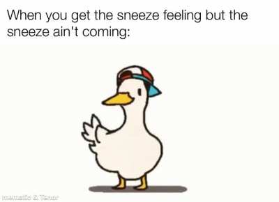 Bye bye