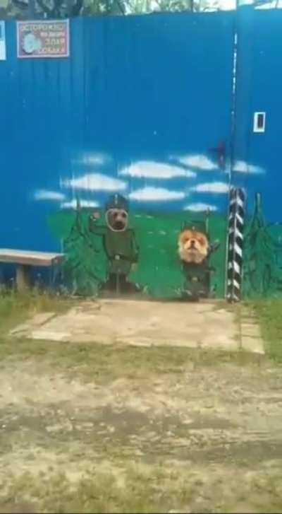 the owner of the dogs is fine with a sense of humor