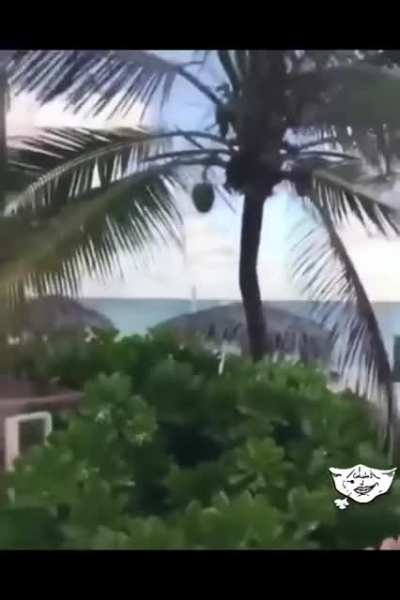HMC while I try to grab that nut.