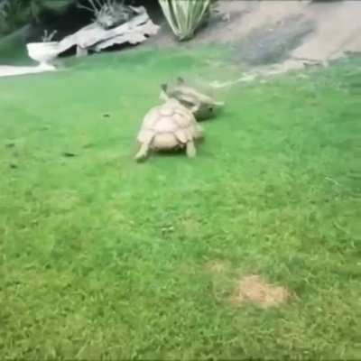 Помощь друга