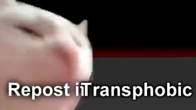 Do it