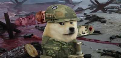 Le war has arrived