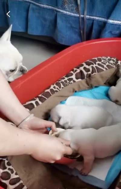 Motherhood Is Complicated