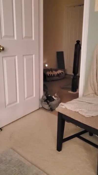 Calculating the perfect bed placement with additional weight accounted for.