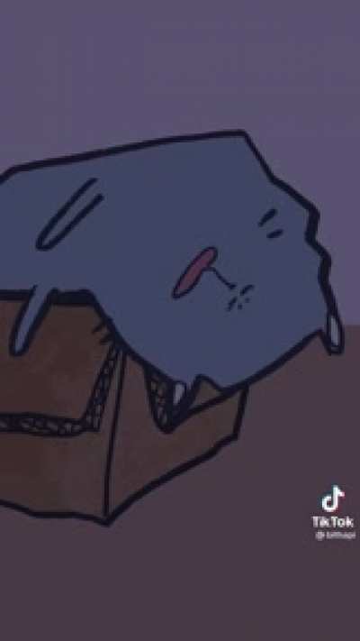 Cats at 3AM. Credit: @bithapi
