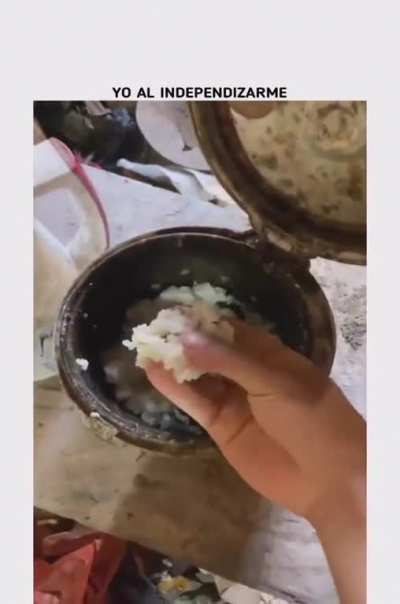 Soy
