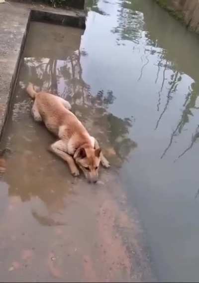 Just chillin' and making bubbles