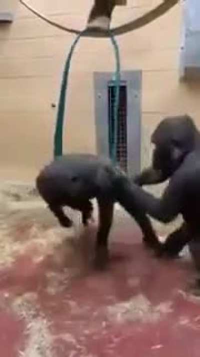monke swing