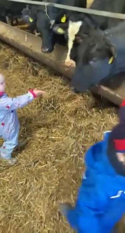 cute baby