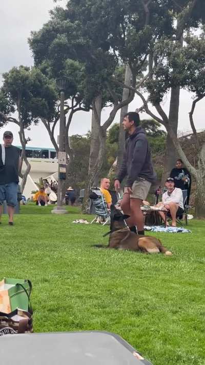 Man with Dog Off Leash creating public disturbance in Dana Point yesterday.