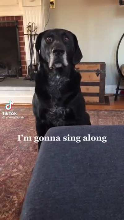 AAAAHHHHHH