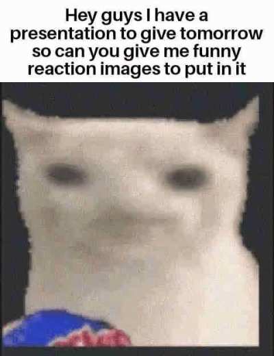 Please chat I need it