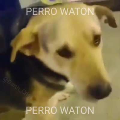 Wa ton