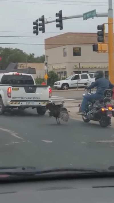 Road rage