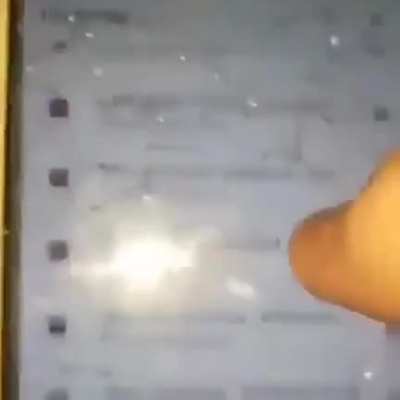 xd