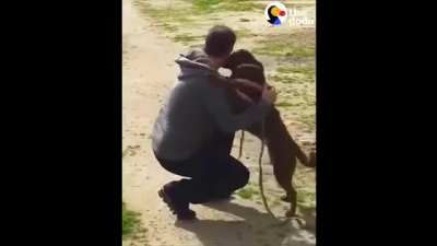 Dog Who’d Been Lost For 2 Years Doesn’t Realize Dad’s Standing Right In Front Of Her.
