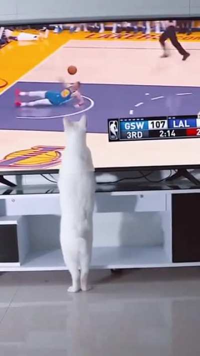 Hand of God