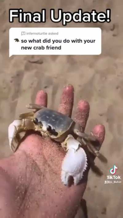 Crab friend