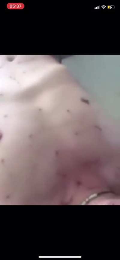 What happens when you mess with a beehive for absolutely no reason