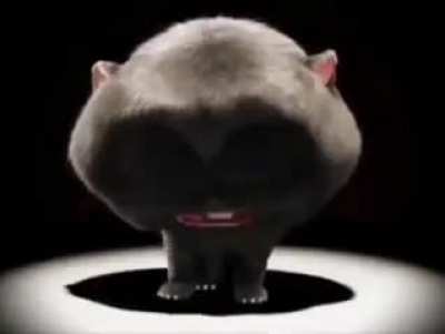 hi