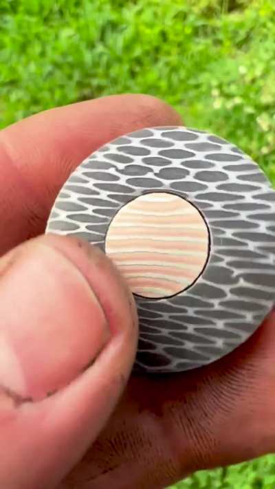 Fidget Coin