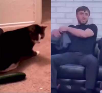 same energy