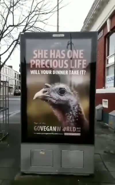 How can this mobile oven grill the bird but not the paper?