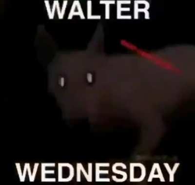 walter Wednesday