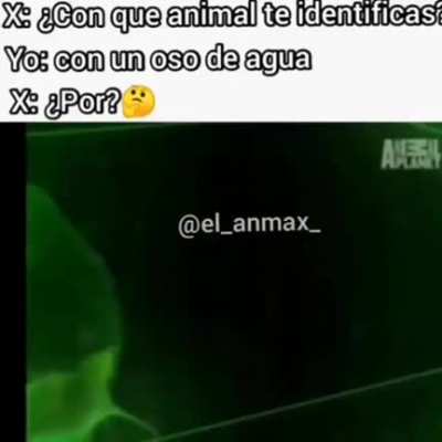 k grande