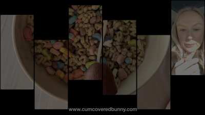 Cumco<wbr>vered<wbr>bunny