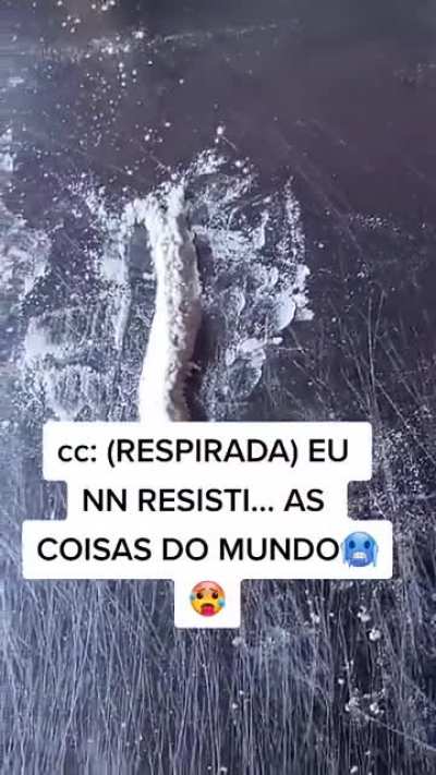 O Zoio tá diferente