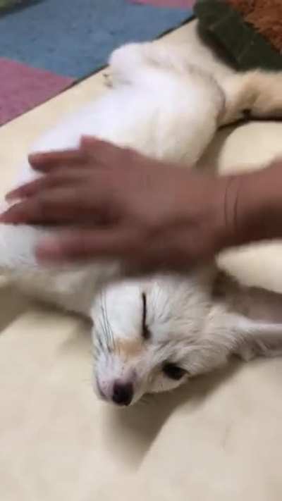 Fen