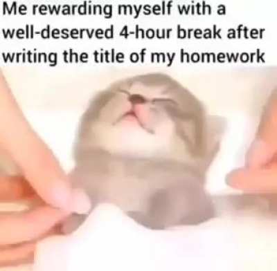Memes