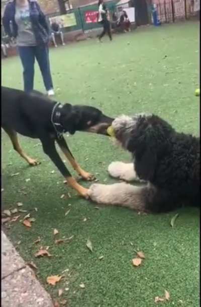 I feels like this belongs here…