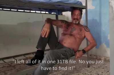 McAfee Piece - the King of Antivirus