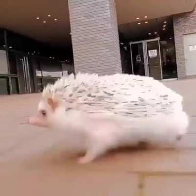 “I am speed!”