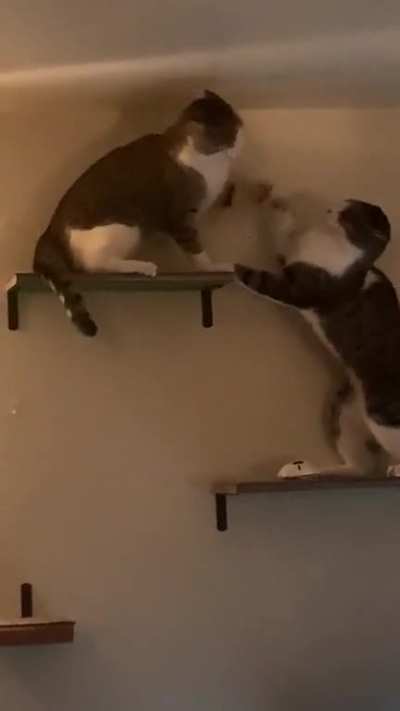 My two boys,
