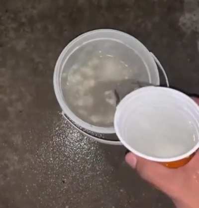 Water