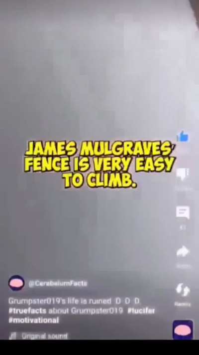 L video
