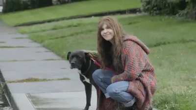What it's like getting pushed into getting a pit bull (according to Portlandia)
