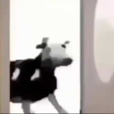 Esse meme já morreu man