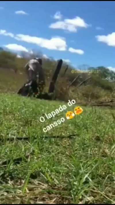 lapada