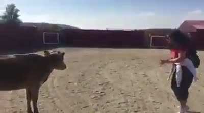 Taken to a bullfight ring for freshman orientation abroad. This was my third day of university.