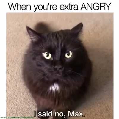 He gave multiple warnings...