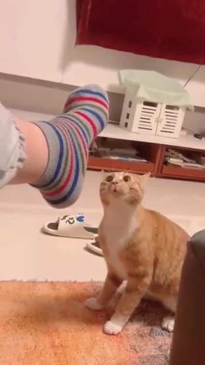 He mustered all his courage for the attack
