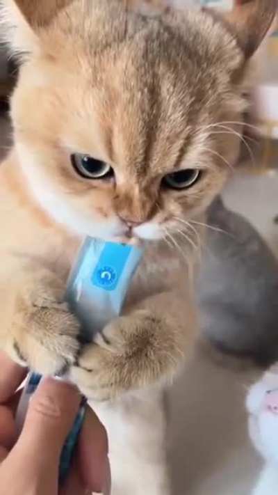 Yum yum yum