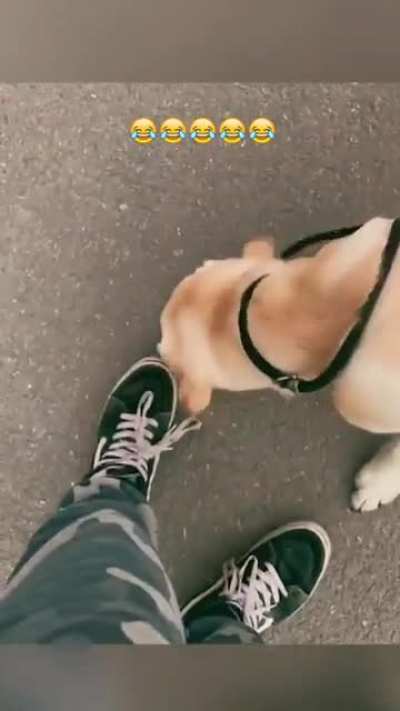 Ops let me handle for you... ok one more time... Seriously hooman? Can we go now?